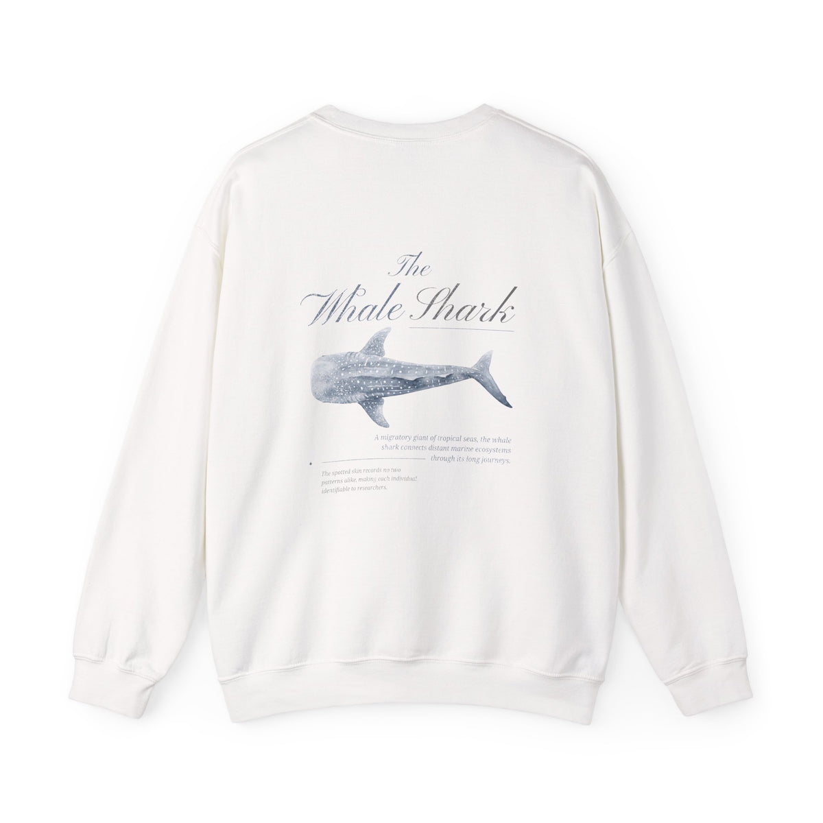 Whale Shark Sweatshirt
