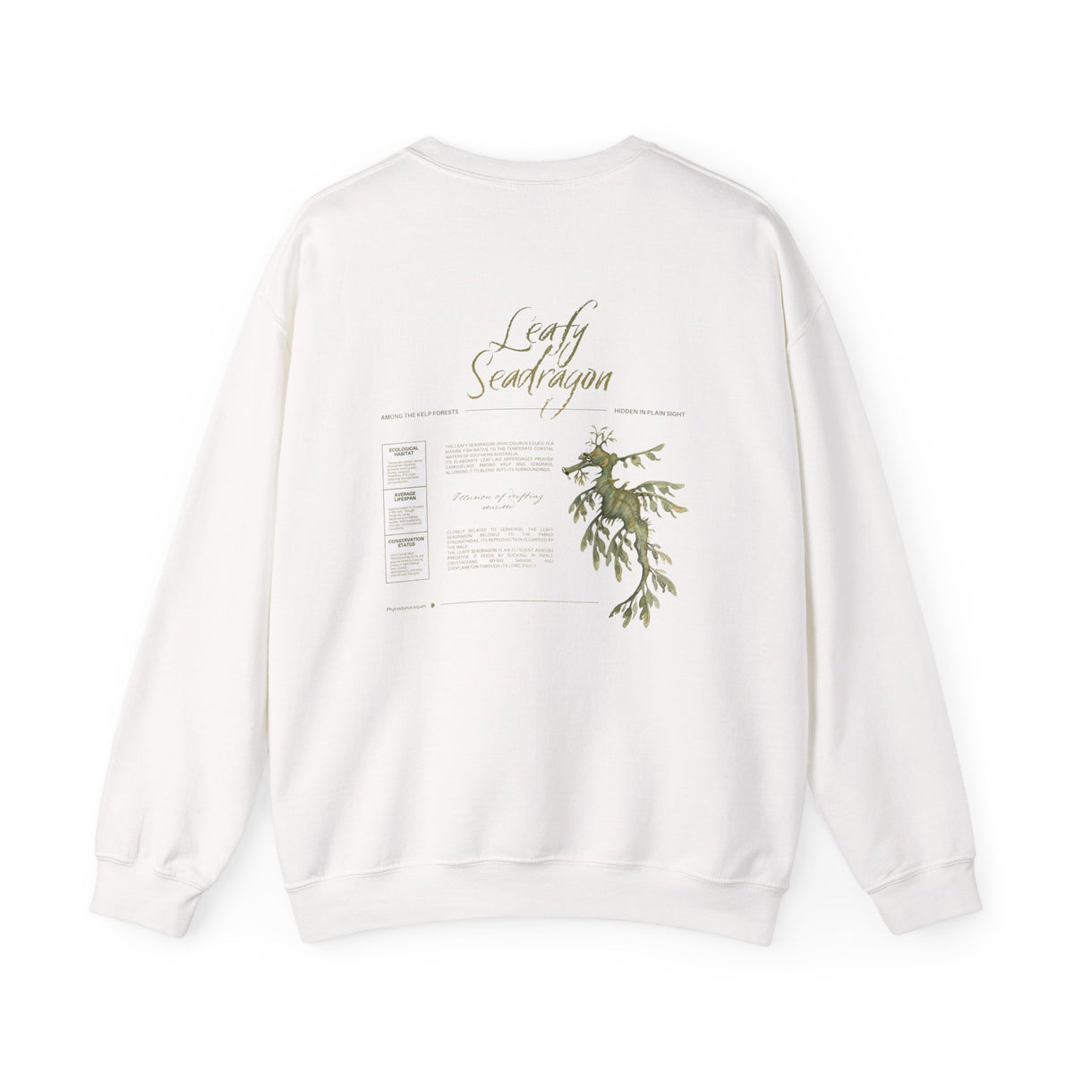 Leafy Seadragon Sweatshirt